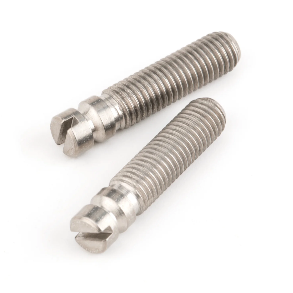 BRIDGE PIVOT SCREWS (2)