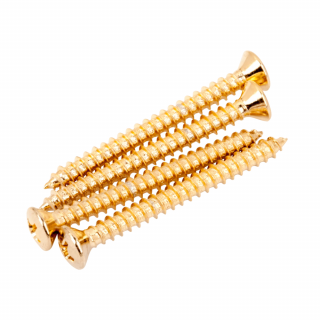 Neck Mounting Screws (4) Dorados